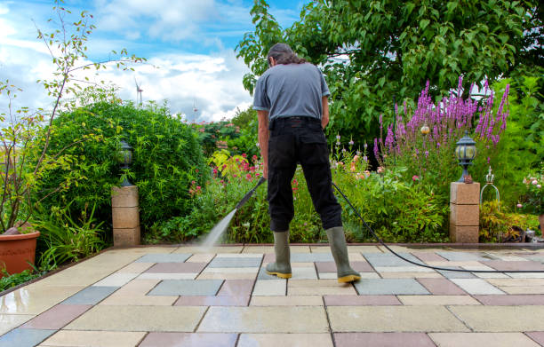 Best Driveway Pressure Washing  in Timmonsville, SC